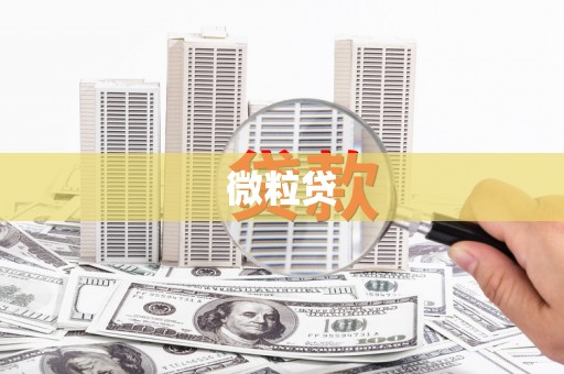 瑞芳微粒贷