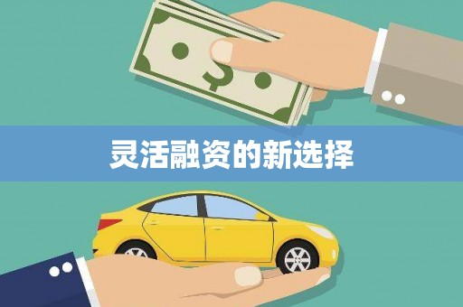 瑞芳灵活融资的新选择