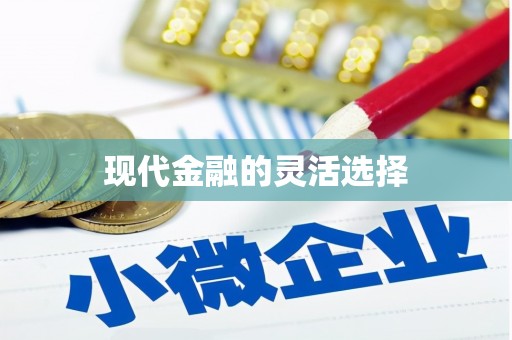 瑞芳现代金融的灵活选择