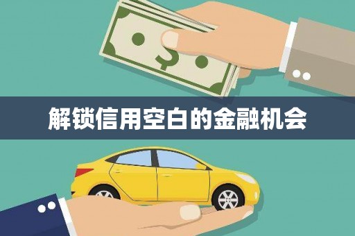 瑞芳解锁信用空白的金融机会