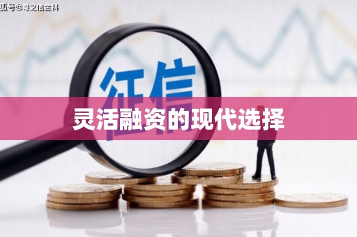 瑞芳灵活融资的现代选择