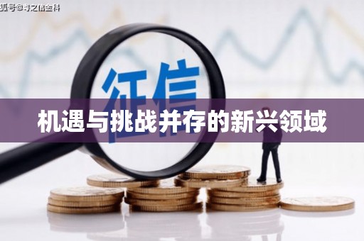 瑞芳机遇与挑战并存的新兴领域