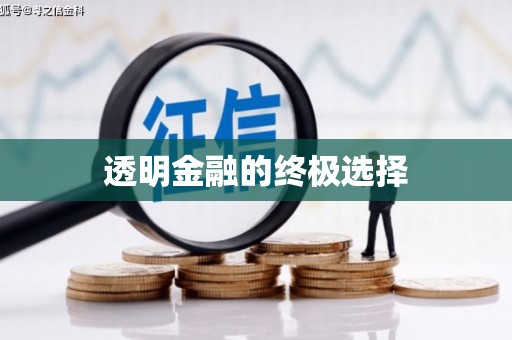 瑞芳透明金融的终极选择