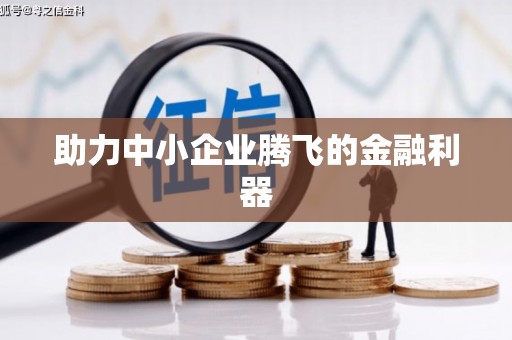 瑞芳助力中小企业腾飞的金融利器