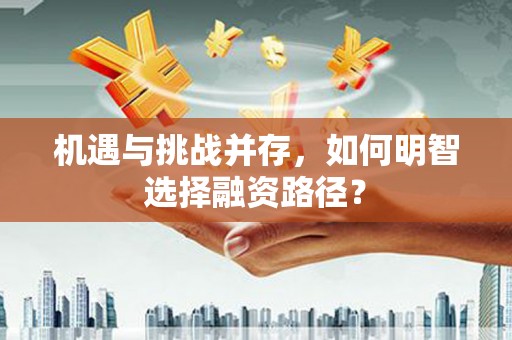 瑞芳机遇与挑战并存，如何明智选择融资路径？