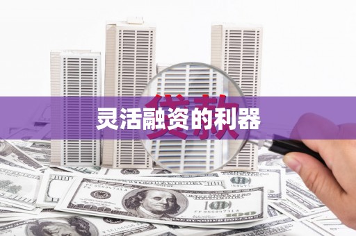 瑞芳灵活融资的利器