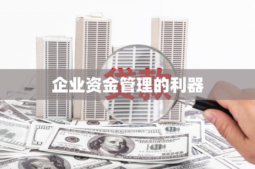 瑞芳企业资金管理的利器