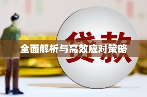 瑞芳全面解析与高效应对策略