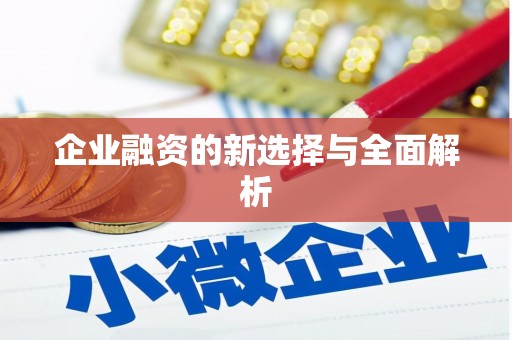 瑞芳企业融资的新选择与全面解析