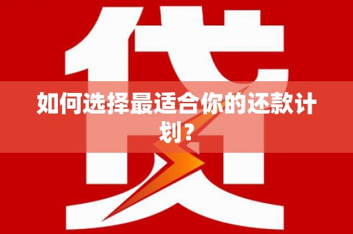 瑞芳如何选择最适合你的还款计划？