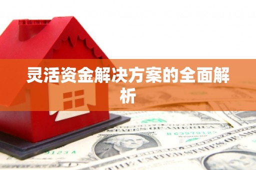 瑞芳灵活资金解决方案的全面解析