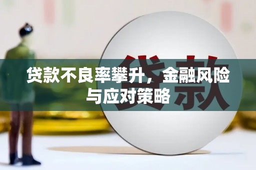 瑞芳贷款不良率攀升，金融风险与应对策略