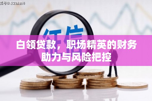 瑞芳白领贷款，职场精英的财务助力与风险把控