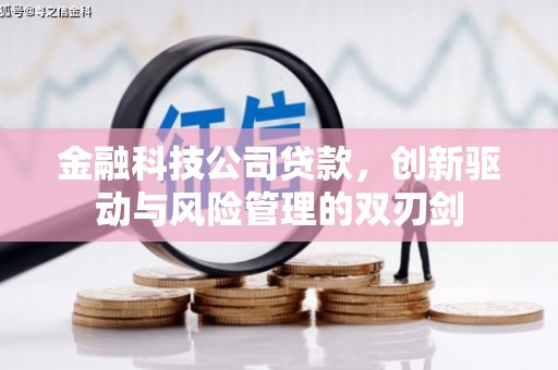 瑞芳金融科技公司贷款，创新驱动与风险管理的双刃剑